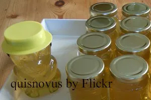 Apiary пчеларство като бизнес, продажба на мед
