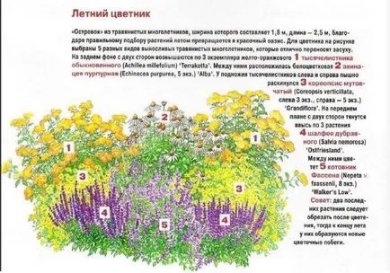 цветна градина план дизайн цветни лехи в предната част на къщата