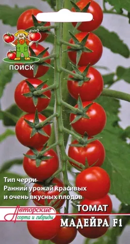 чери домати - сортове за оранжерии, открити пространства и на перваза на прозореца, аз обичам моята градина