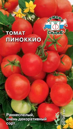 чери домати - сортове за оранжерии, открити пространства и на перваза на прозореца, аз обичам моята градина
