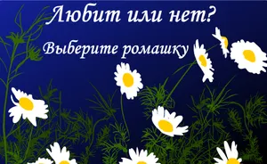 Предсказвам бъдещето за любов онлайн безплатно, предсказвам бъдещето онлайн, гадателство бъдеще
