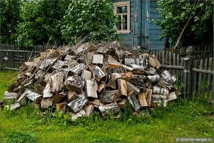 Диви цветя лятна екскурзия през юли хълмове предградия до река Дубна