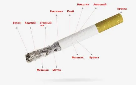 Истината за тютюн, което е в една цигара, гледане на онлайн видео на цялата истина за тютюн