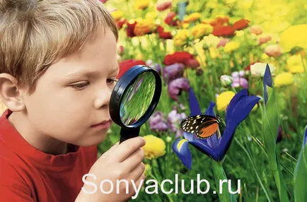 Познанието на световната детето