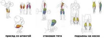 Програмата за обучение за мускулна набиране с ефективни упражнения