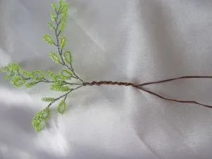 Birch gyöngy