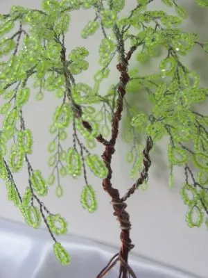 Birch gyöngy