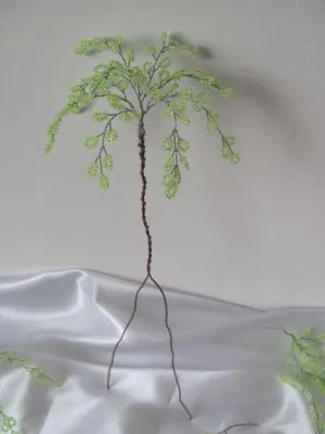 Birch gyöngy
