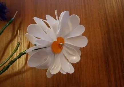 Fehér margaréták műanyag palackok