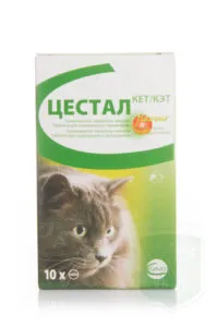 Общи хапчета за котки за червеи и препоръки за прилагането им