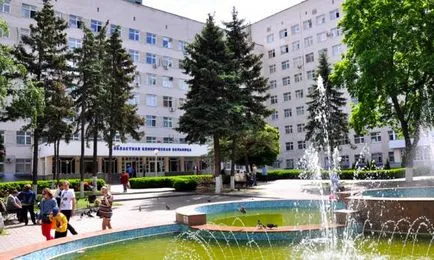 Ръководство, Окръжна болница на Ростов