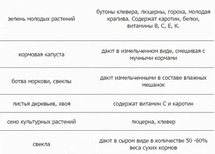 Пушкин пилета порода характеристики, редът за водене и размножаване