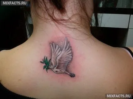 Bird татуировки значение и снимки (идеален обект на татуировки) Bird татуировки значение и снимки
