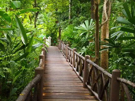 Пукет (Phuket) - времето, празници и цените на остров Тайланд, отворете Тайланд! (Phuket) Пукет (Phuket) - времето, празници и цените на остров Тайланд, отворете Тайланд!