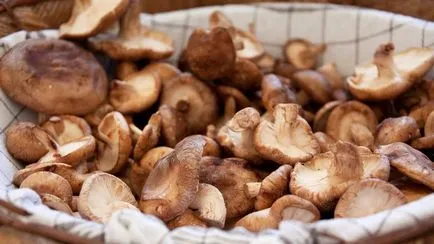 Рецепти за мариновани гъби