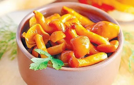 Рецепти мариновани гъби, тайни избора на съставки и добавяне