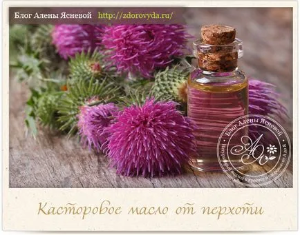 Най-полезните масла за коса и приложения (масло amly) Най-полезните масла за коса и приложения