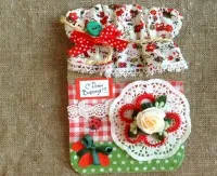 Scrapbooking къде да започне създаването на картички и албуми (създаване) Scrapbooking, където да започнете да създавате поздравителни картички и албуми