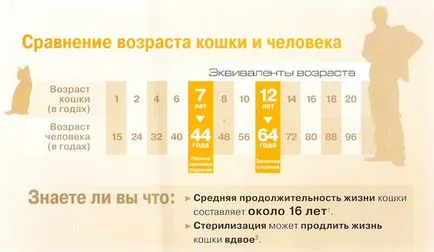 Колко котки живеят в дома, в отговор ветеринарен лекар