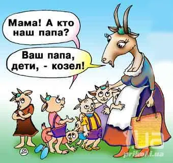 Смешни овце и кози Смешните Картини на кози и овце, снимки, рисунки, се забавляват с овни или забавно