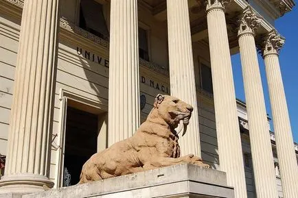 Смилодон саблезъби котки и други