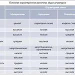 Изграждане на къща от газобетон с ръцете си - стъпка по стъпка доклад снимка