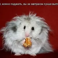 Suprastin преди и след ваксинация, е необходимо да се пие suprastin след ваксинация, DTP етикет, бейби, месец,