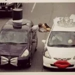 Сватбена приказка, не чакайте да се случи чудо - самият Tschudi! (Сватба) Сватбена приказка, не чакайте да се случи чудо - самият Tschudi!