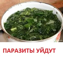 Тиквените семки от червеи и колко да вземе