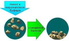 тест тимол