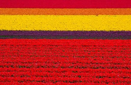 Топ 27 места на планетата, които трябва да се разглеждат