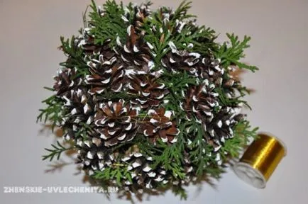 Topiary на конуси с ръцете си майсторски клас със стъпка по стъпка снимки за начинаещи