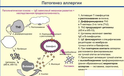 Трудно е да диша за алергии - астматичен пристъп, как да премахнете лечение, е трудно да диша какво да се прави за пръв път