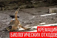 Извозване на медицински отпадъци събиране, класифициране и правила