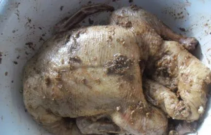 Патица пече в ръкав (ябълки, картофи) рецепти