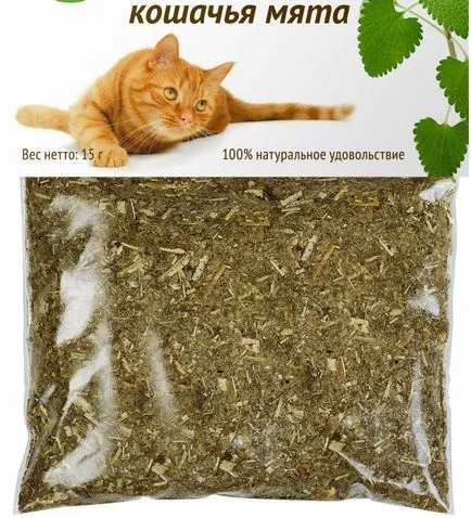 Валериан за котки