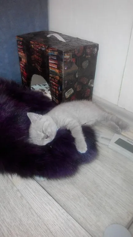 На каква възраст коте може да бъде отбито котката и да даде на новите собственици