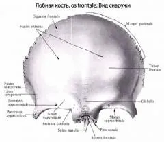 fájó homlokát