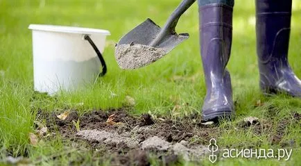 11 неочаквани компоненти за торове