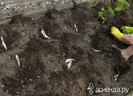11 неочаквани компоненти за торове