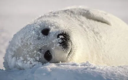 5 урока за това как природата ни учи да живеем
