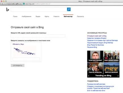 Addurl Yandex и addurl Google - добавяне на сайта за търсачките (addurl Yandex) Addurl Yandex и addurl Google - добавяне на сайта за търсачките
