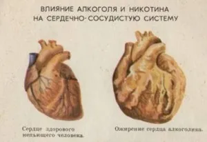 Алкохолът и неговото вредно влияние върху човешкото здраве на мозъка, сърцето, черния дроб и други органи (вредно) Алкохолът и неговото вредно влияние върху човешкото здраве на мозъка, сърцето, черния дроб и други органи