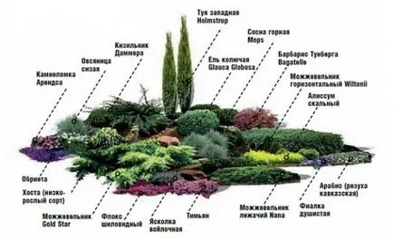 Alpine плъзнете ръцете си стъпка по стъпка снимки, Класификация на