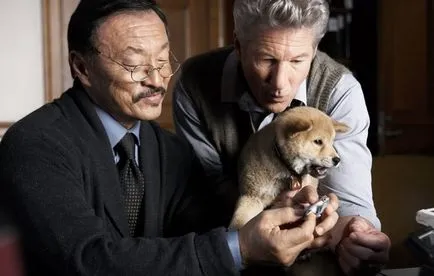 Акита Inu, лоялен Hachiko