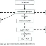 Ариергард действие, което, ариергард