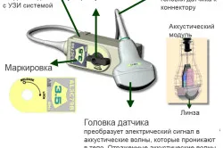 Ултразвукови типове машини и принципи на работа