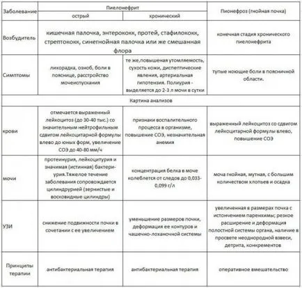Антибиотици в възпаление на бъбреците и пикочния мехур таблетките