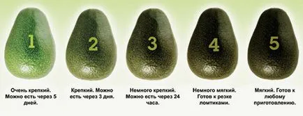 Авокадо - как да се хранят правилно, сандвичи рецепти, колко можете да се хранят в един ден, отколкото (както е авокадото в суров вид) Авокадо - как да се хранят правилно, сандвичи рецепти, колко можете да се хранят в един ден, това, което