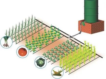Автоматична система за капково напояване за производство свои ръце, като определя оранжерия, снимки, видео